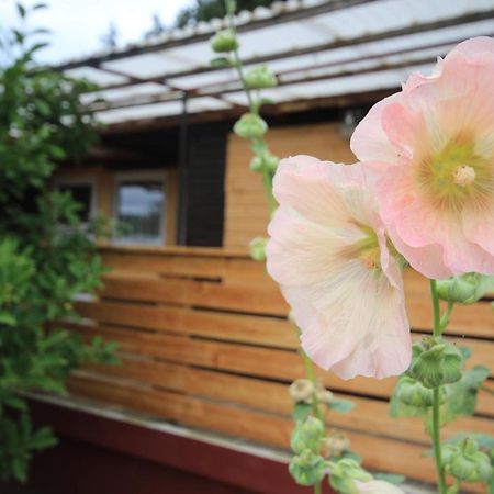 Ferienhaus Am Wald Tambach-Dietharz Zewnętrze zdjęcie
